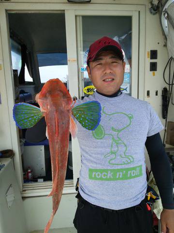 遊漁船　ニライカナイ 釣果