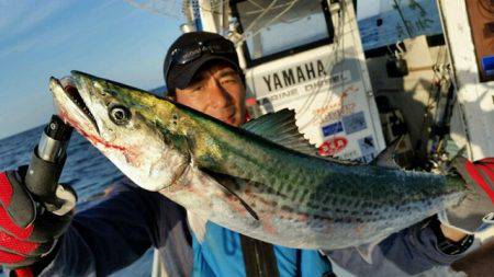 つれ鷹丸 釣果