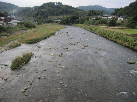 狩野川(狩野川漁業協同組合) 釣果