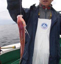 第二むつ漁丸 釣果