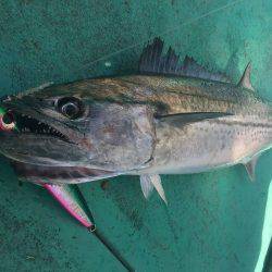 広進丸 釣果