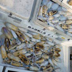 Magic(マジック) 釣果