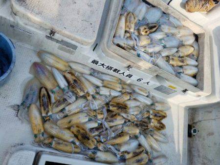 Magic(マジック) 釣果