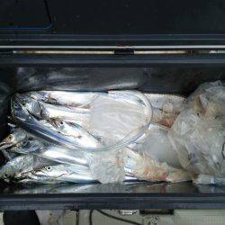 遊漁船　ニライカナイ 釣果