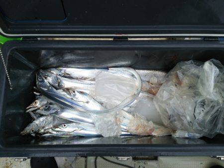 遊漁船　ニライカナイ 釣果