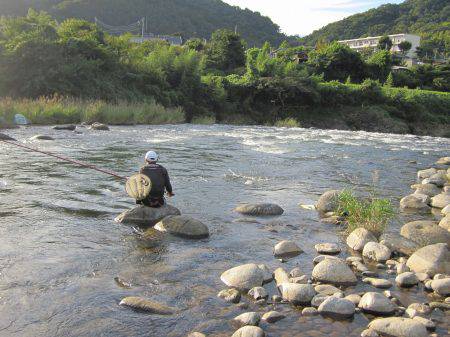 狩野川（狩野川漁業協同組合） 釣果