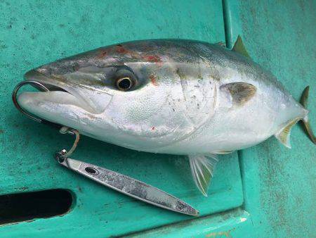 広進丸 釣果
