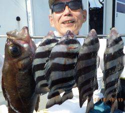 石川丸 釣果