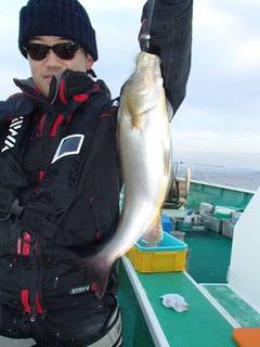 第二むつ漁丸 釣果