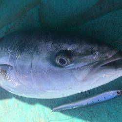 広進丸 釣果