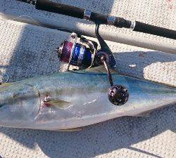 IDATEN(イダテン) 釣果