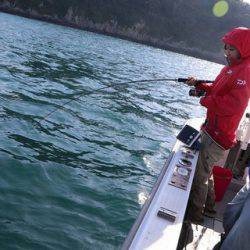 スカイマリン 釣果