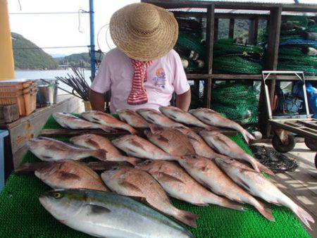 カタタのつり堀 釣果