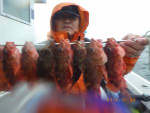 石川丸 釣果