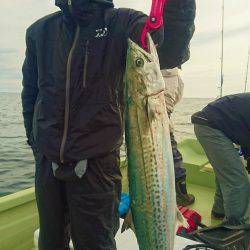 気仙沼 つり丸 釣果