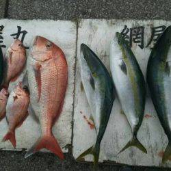 網屋丸 釣果