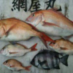 網屋丸 釣果