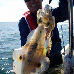 Magic(マジック) 釣果