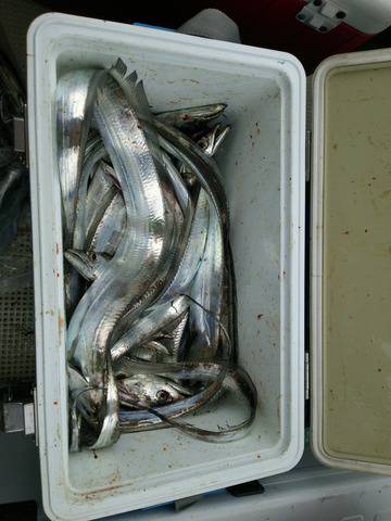 遊漁船　ニライカナイ 釣果