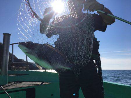 由良渡船 釣果