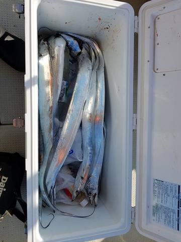 遊漁船　ニライカナイ 釣果