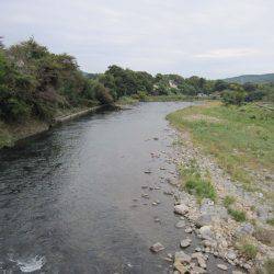 狩野川(狩野川漁業協同組合) 釣果