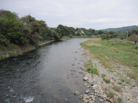 狩野川(狩野川漁業協同組合) 釣果