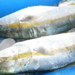 こうゆう丸 釣果