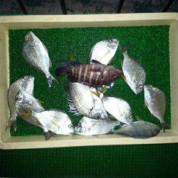 海山フィッシングセンター 釣果