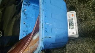 ディープ オーシャン 釣果