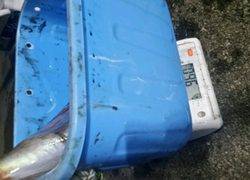 ディープ オーシャン 釣果