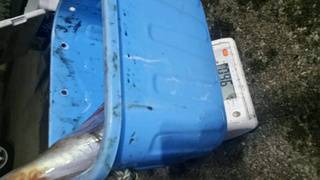 ディープ オーシャン 釣果