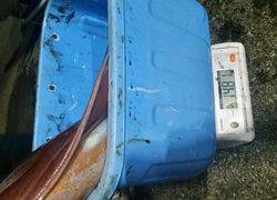 ディープ オーシャン 釣果