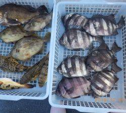 石川丸 釣果