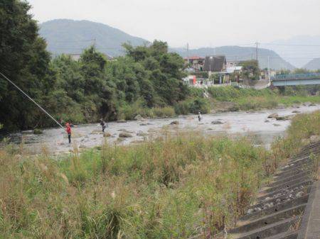 狩野川(狩野川漁業協同組合) 釣果