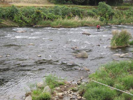 狩野川(狩野川漁業協同組合) 釣果