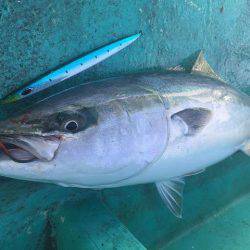 広進丸 釣果