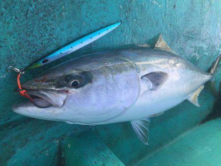 広進丸 釣果