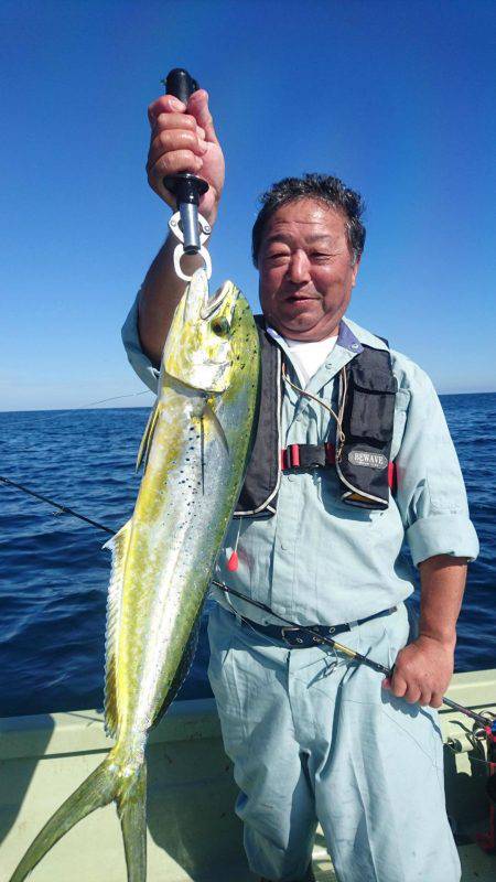 気仙沼　つり丸 釣果