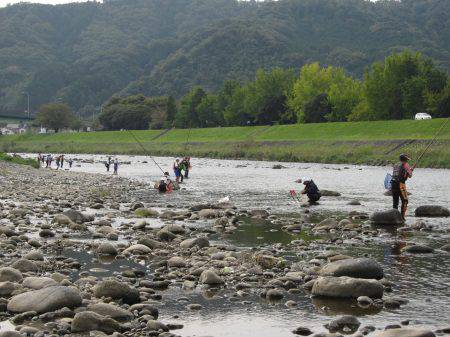 狩野川（狩野川漁業協同組合） 釣果