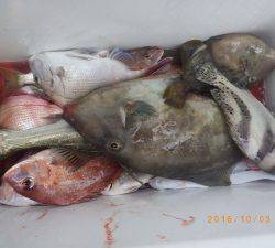 石川丸 釣果