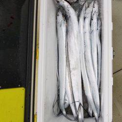 遊漁船　ニライカナイ 釣果