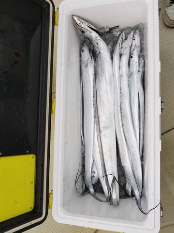 遊漁船　ニライカナイ 釣果