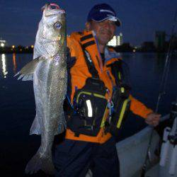 TOPGUN名古屋 釣果