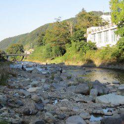 狩野川（狩野川漁業協同組合） 釣果
