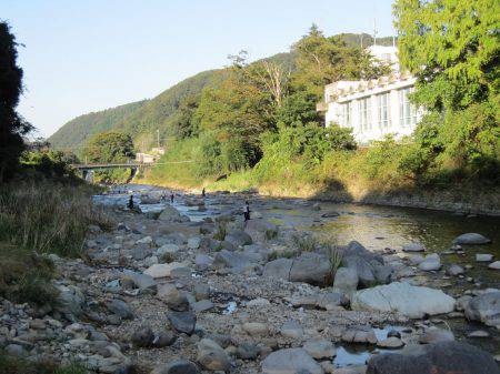 狩野川（狩野川漁業協同組合） 釣果