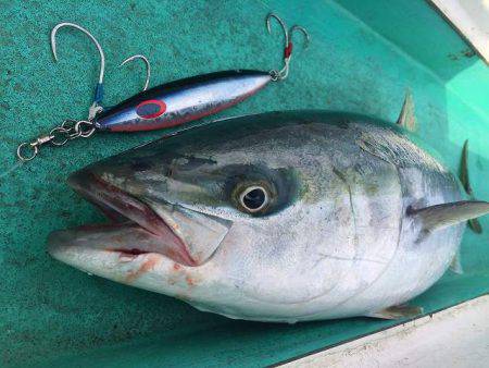 広進丸 釣果