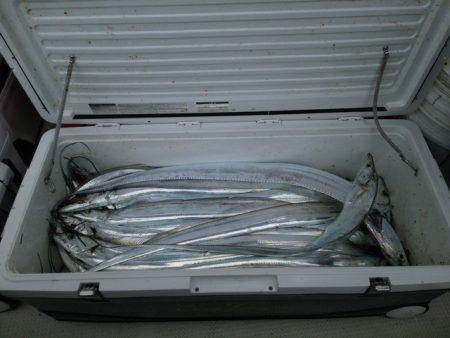 遊漁船　ニライカナイ 釣果