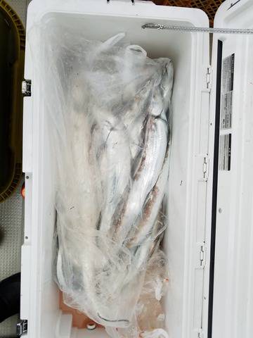 遊漁船　ニライカナイ 釣果