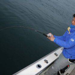 スカイマリン 釣果